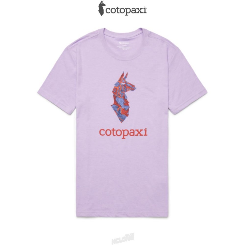 Cotopaxi Altitude Llama T-Shirt Wisteria | CI03-G4-GY