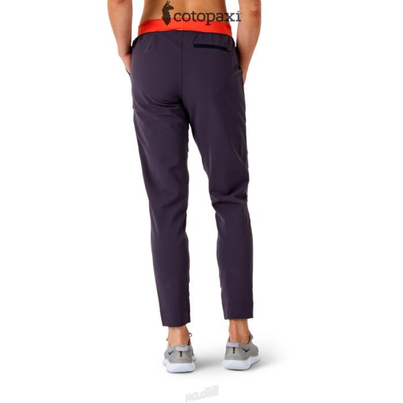 Cotopaxi Baja Pant Graphite | AY01-N6-AR