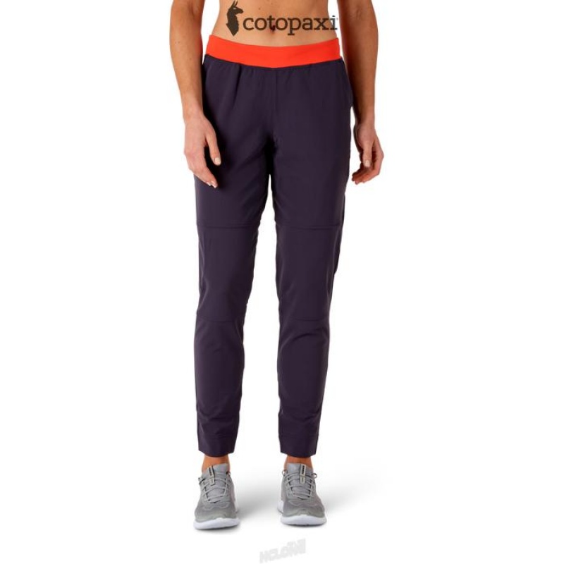 Cotopaxi Baja Pant Graphite | AY01-N6-AR