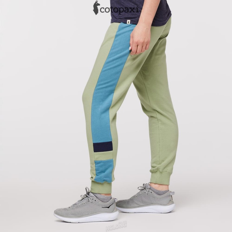 Cotopaxi Bandera Jogger Aspen | QG92-M4-AB