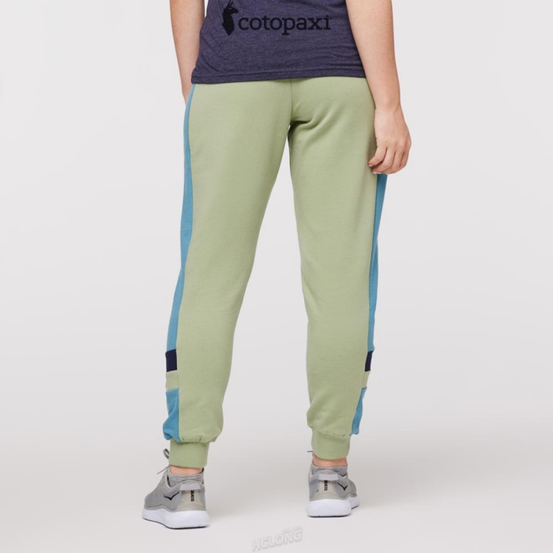 Cotopaxi Bandera Jogger Aspen | QG92-M4-AB