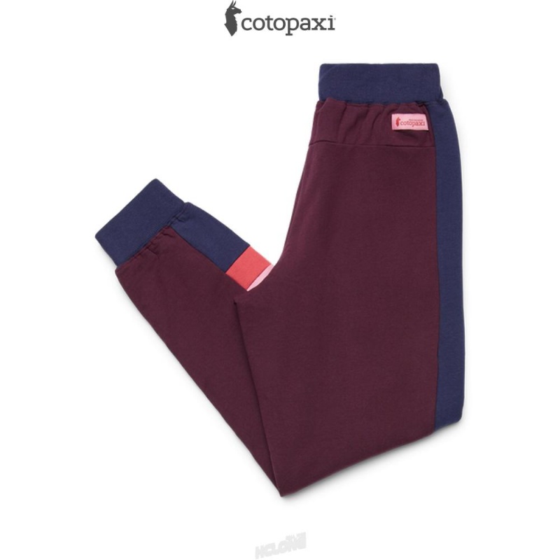 Cotopaxi Bandera Jogger Wine | VP55-C5-WJ