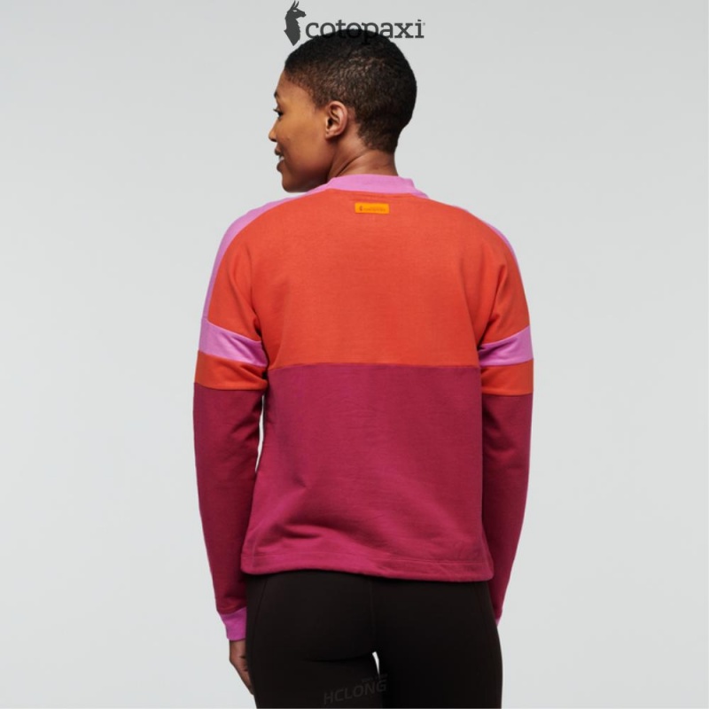 Cotopaxi Bandera Sweatshirt Canyon/Raspberry | OD86-O8-AP