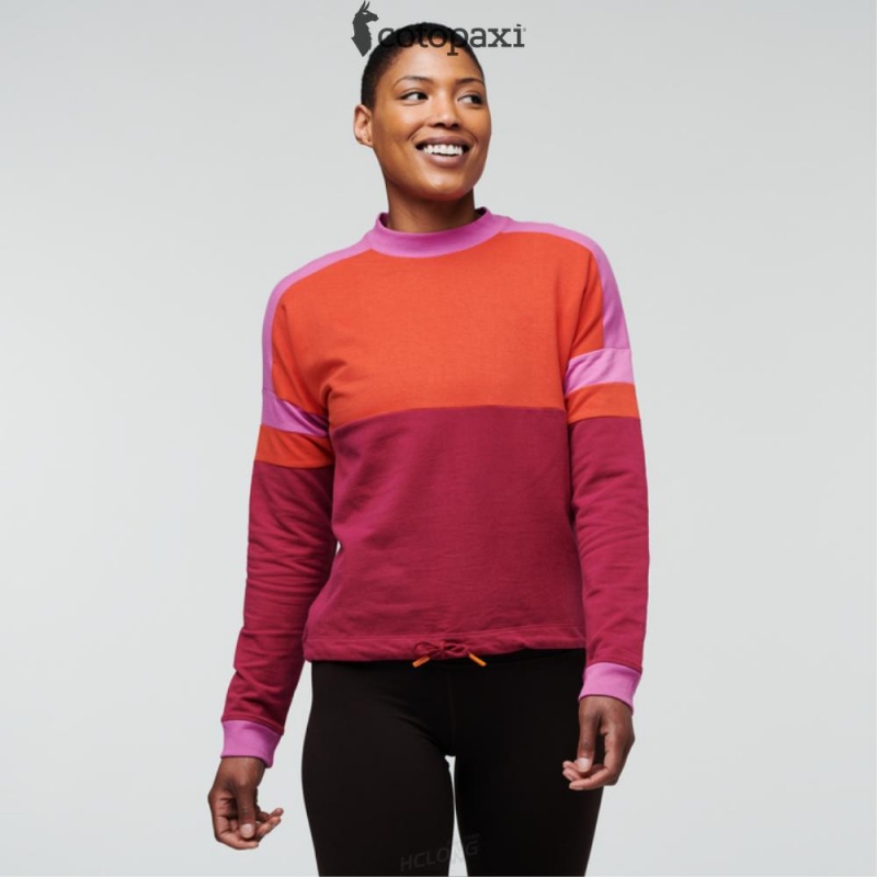 Cotopaxi Bandera Sweatshirt Canyon/Raspberry | AV32-J7-SK