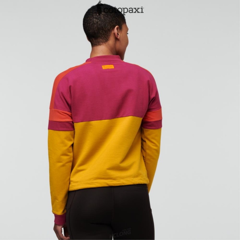 Cotopaxi Bandera Sweatshirt Raspberry/Amber | QM52-K3-IC