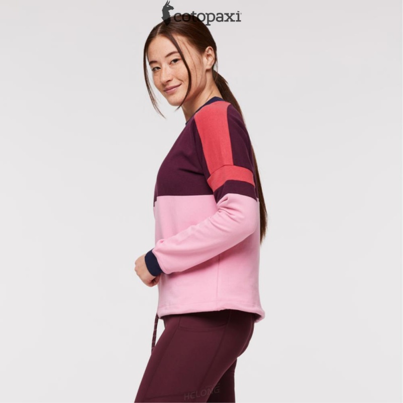 Cotopaxi Bandera Sweatshirt Wine/Watermelon | XH70-T9-QK