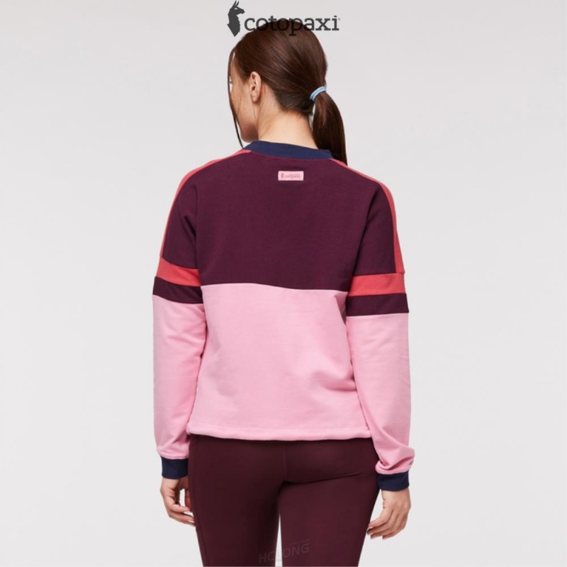 Cotopaxi Bandera Sweatshirt Wine/Watermelon | XH70-T9-QK