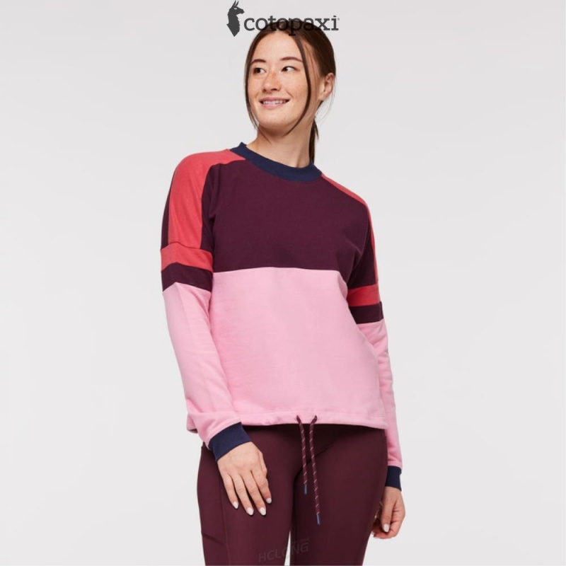 Cotopaxi Bandera Sweatshirt Wine/Watermelon | XH70-T9-QK