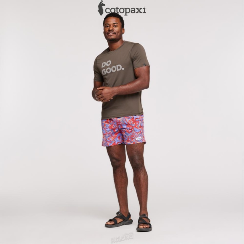 Cotopaxi Brinco Short - Print Amethyst/Canyon | RY71-T5-TK