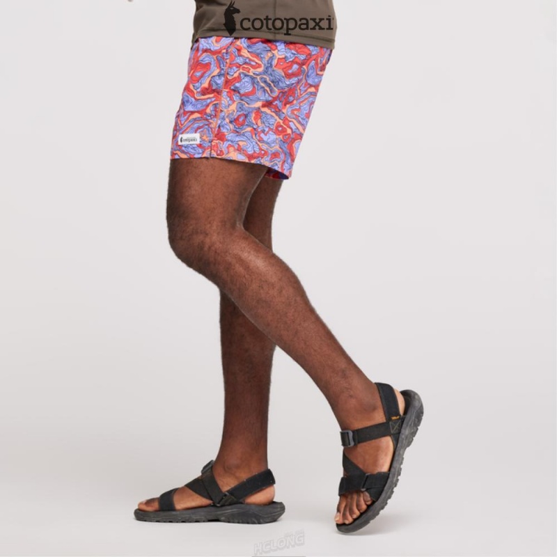 Cotopaxi Brinco Short - Print Amethyst/Canyon | RY71-T5-TK