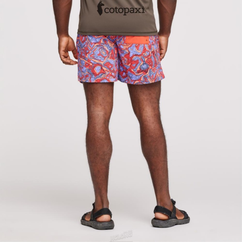 Cotopaxi Brinco Short - Print Amethyst/Canyon | RY71-T5-TK