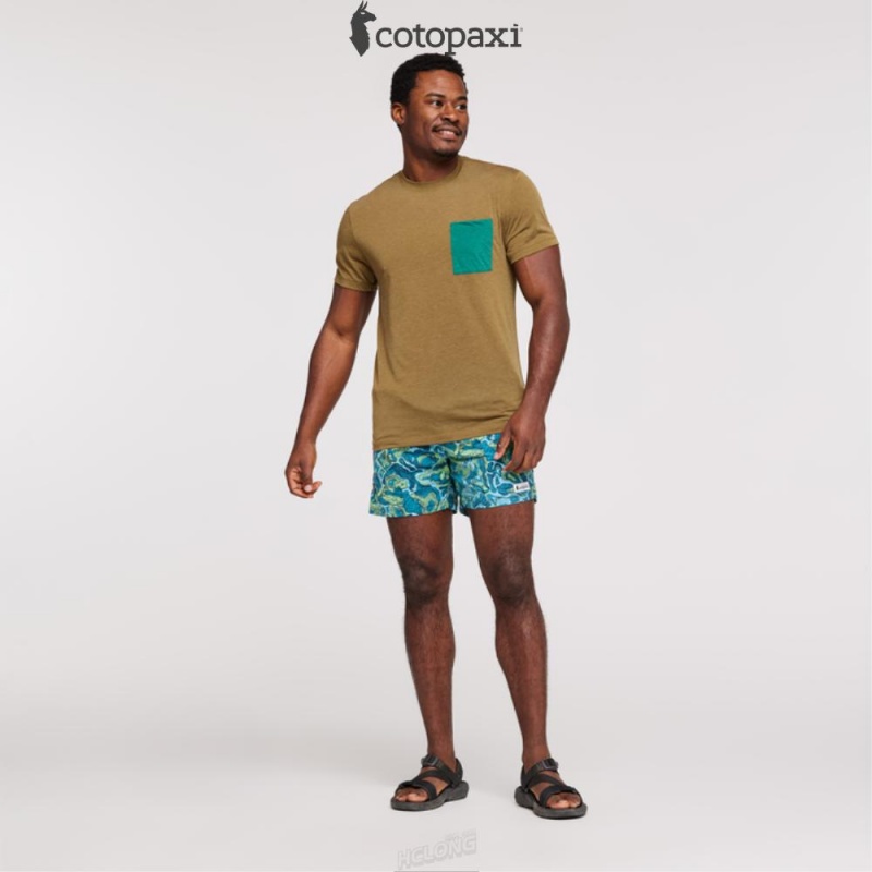 Cotopaxi Brinco Short - Print Gulf/Kelp | YD46-C5-RJ