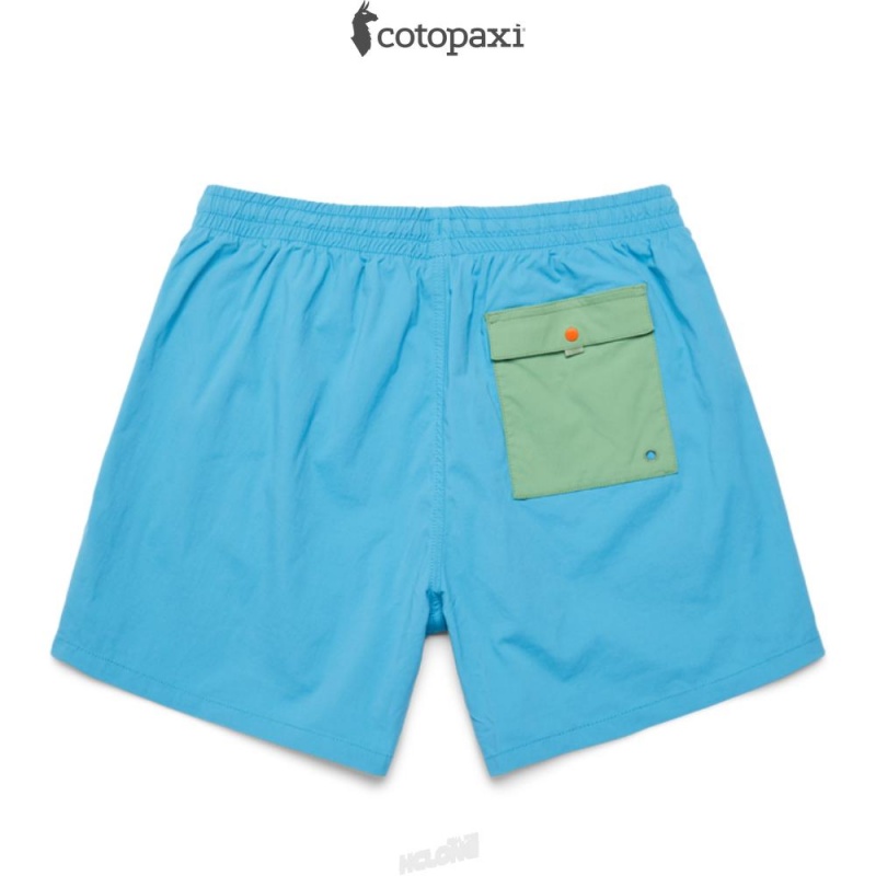 Cotopaxi Brinco Short - Solid Greenery | BN73-T4-OL