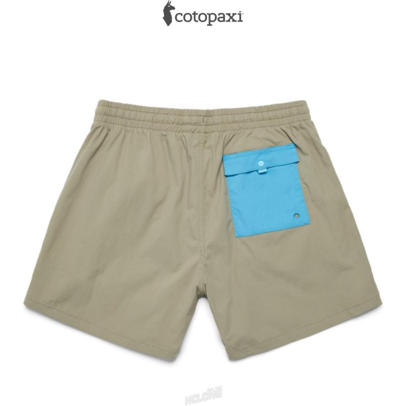 Cotopaxi Brinco Short - Solid Greenery | MH38-M3-GX