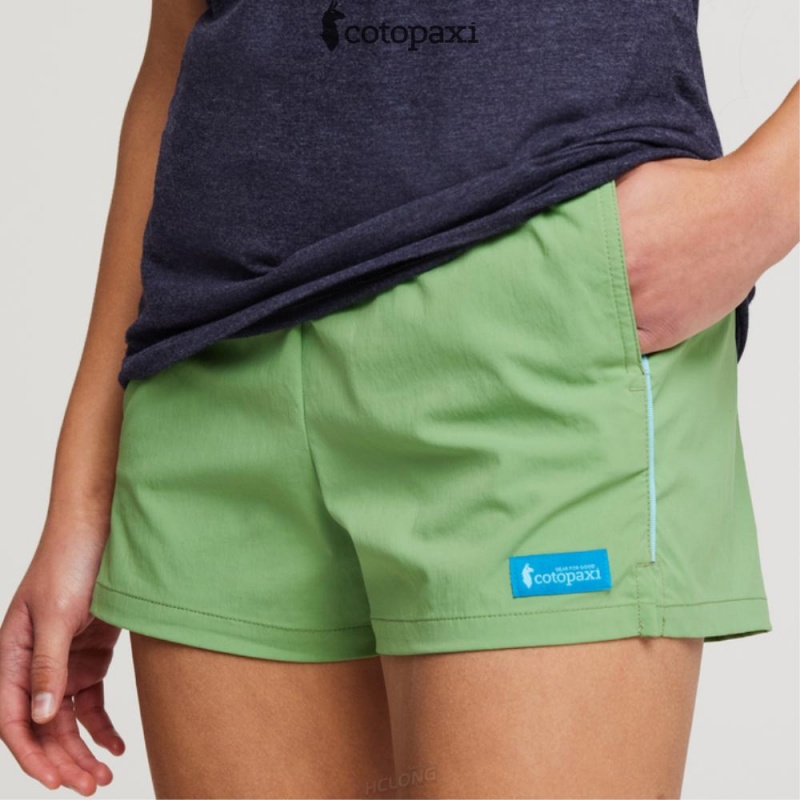 Cotopaxi Brinco Short - Solid Kelp | BB32-S9-FN