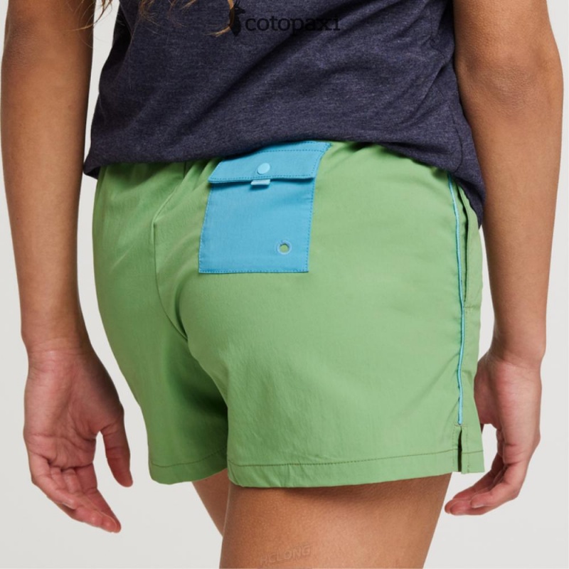 Cotopaxi Brinco Short - Solid Kelp | IW53-L0-CP