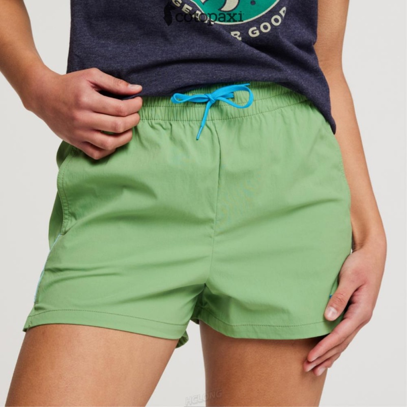 Cotopaxi Brinco Short - Solid Kelp | IW53-L0-CP