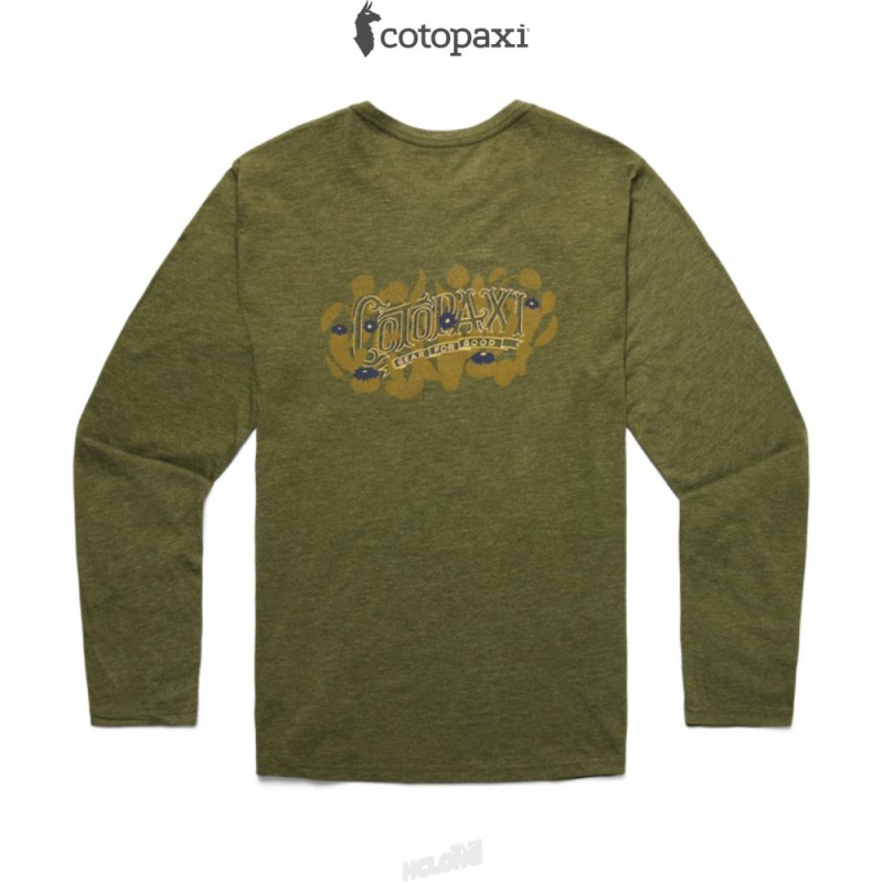 Cotopaxi Cactus Life Long-Sleeve T-Shirt Pine | WB79-I3-LH