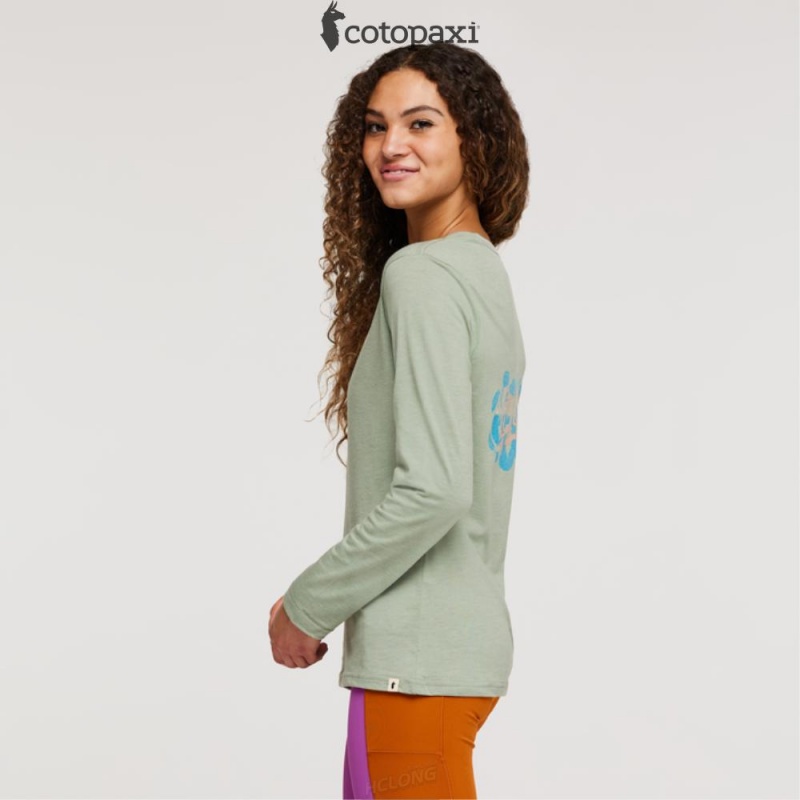 Cotopaxi Cactus Life Long-Sleeve T-Shirt Silver Leaf | LI03-E5-EV