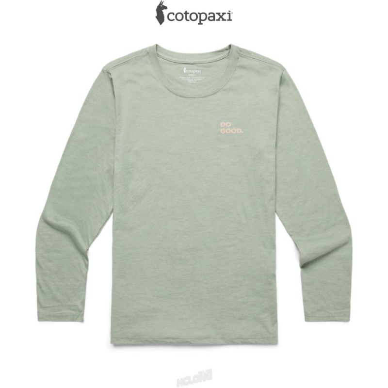 Cotopaxi Cactus Life Long-Sleeve T-Shirt Silver Leaf | LI03-E5-EV