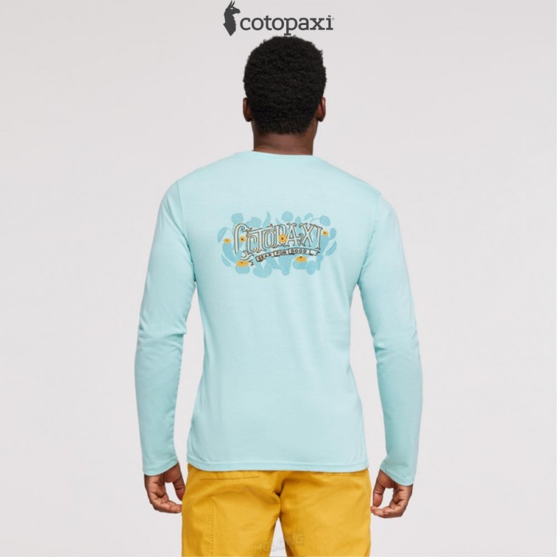 Cotopaxi Cactus Life Long-Sleeve T-Shirt Sea Glass | ZN02-U9-UT