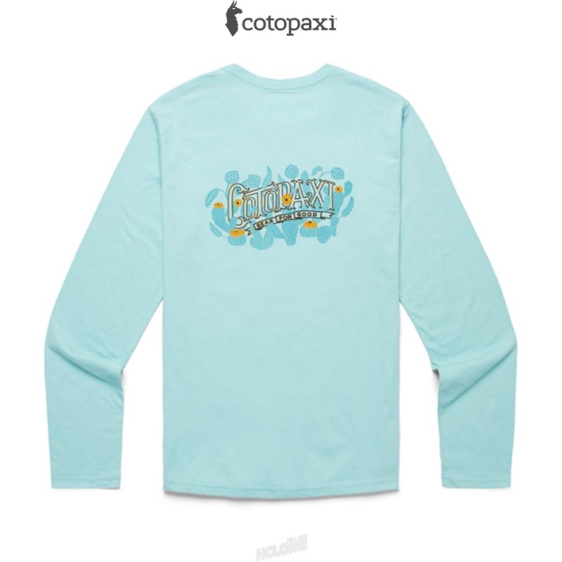 Cotopaxi Cactus Life Long-Sleeve T-Shirt Sea Glass | ZN02-U9-UT