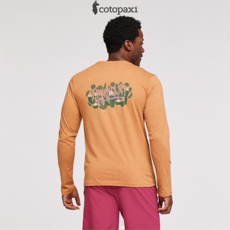 Cotopaxi Cactus Life Long-Sleeve T-Shirt Saddle | DZ14-L0-VV