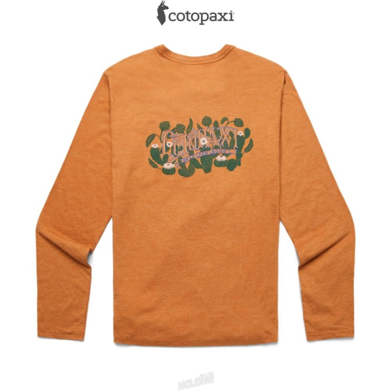 Cotopaxi Cactus Life Long-Sleeve T-Shirt Saddle | DZ14-L0-VV