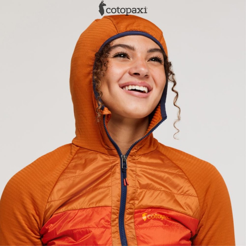 Cotopaxi Capa Hybrid Insulated Hooded Jacket Mezcal/Foxglove | MN43-H3-ED