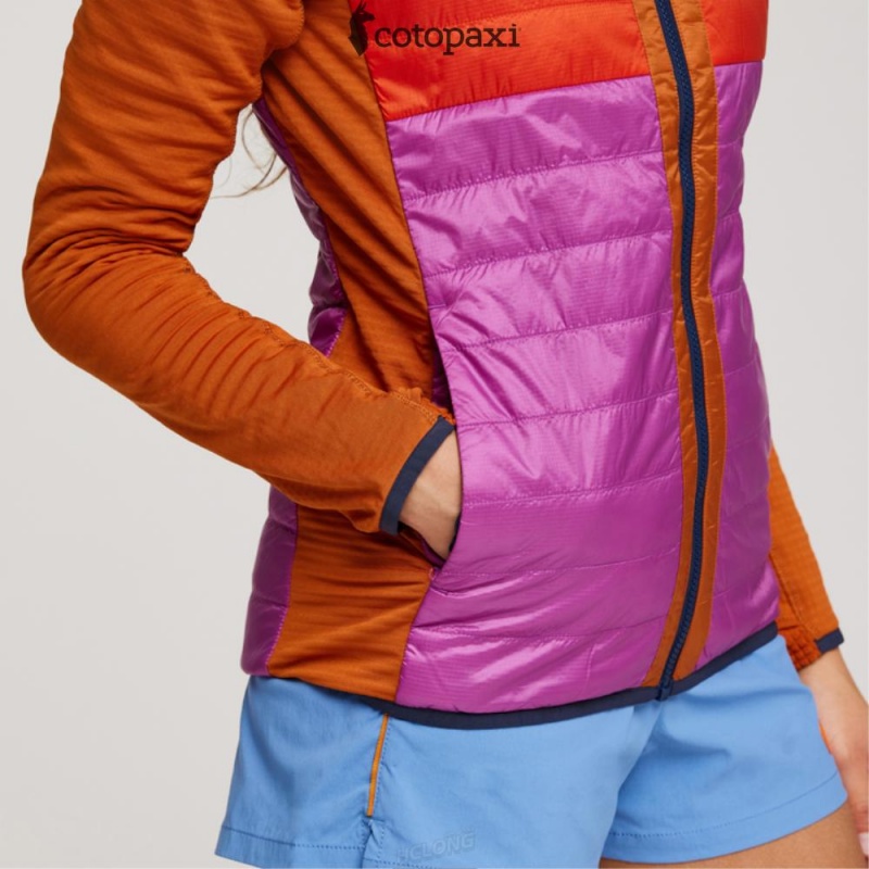 Cotopaxi Capa Hybrid Insulated Hooded Jacket Mezcal/Foxglove | MN43-H3-ED