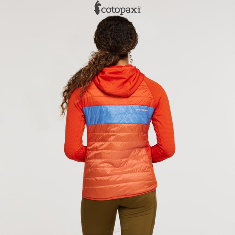 Cotopaxi Capa Hybrid Insulated Hooded Jacket Canyon/Nectar | FE06-I2-XN