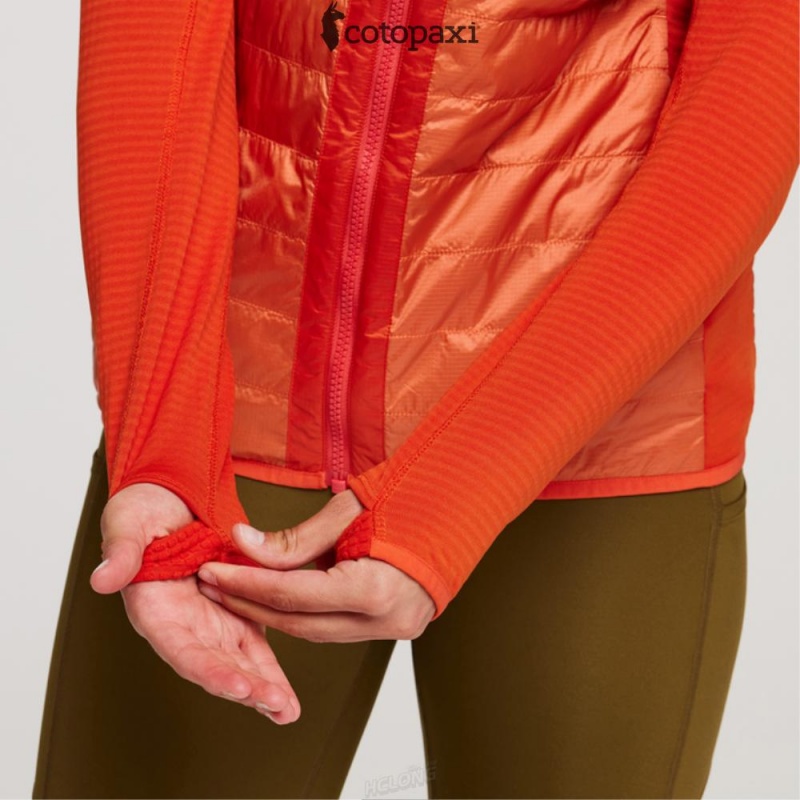 Cotopaxi Capa Hybrid Insulated Hooded Jacket Canyon/Nectar | FE06-I2-XN