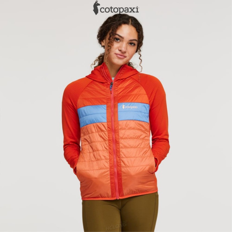 Cotopaxi Capa Hybrid Insulated Hooded Jacket Canyon/Nectar | FE06-I2-XN