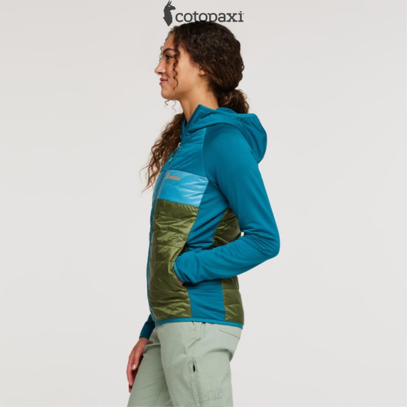 Cotopaxi Capa Hybrid Insulated Hooded Jacket Gulf/Pine | HK89-J2-GP