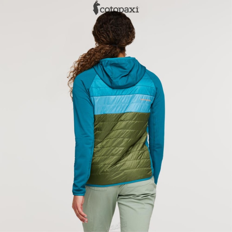 Cotopaxi Capa Hybrid Insulated Hooded Jacket Gulf/Pine | HK89-J2-GP