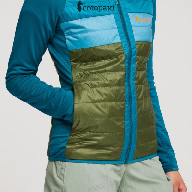 Cotopaxi Capa Hybrid Insulated Hooded Jacket Gulf/Pine | HK89-J2-GP