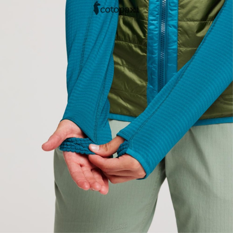 Cotopaxi Capa Hybrid Insulated Hooded Jacket Gulf/Pine | HK89-J2-GP