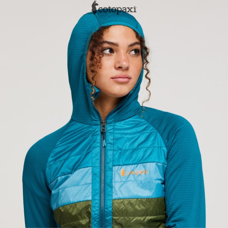 Cotopaxi Capa Hybrid Insulated Hooded Jacket Gulf/Pine | HK89-J2-GP