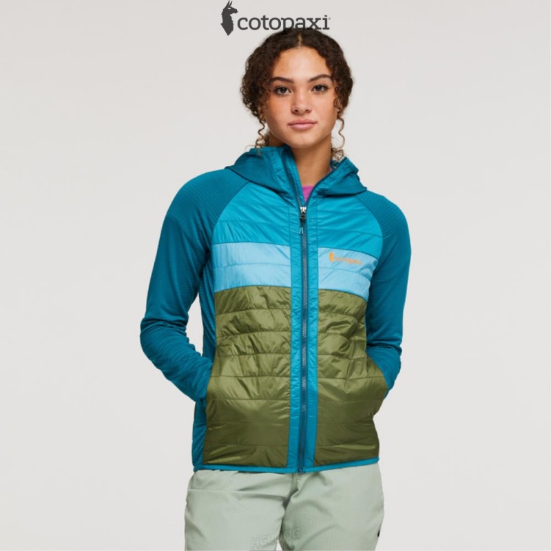 Cotopaxi Capa Hybrid Insulated Hooded Jacket Gulf/Pine | HK89-J2-GP