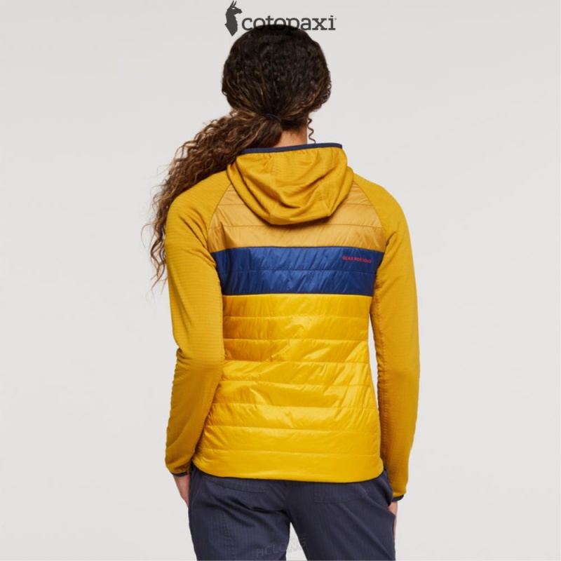 Cotopaxi Capa Hybrid Insulated Hooded Jacket Amber/Sunset | GT04-D9-PO