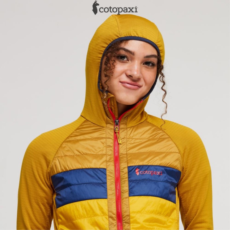 Cotopaxi Capa Hybrid Insulated Hooded Jacket Amber/Sunset | GT04-D9-PO