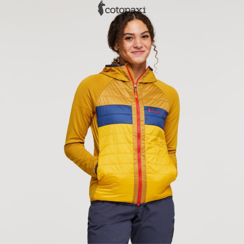 Cotopaxi Capa Hybrid Insulated Hooded Jacket Amber/Sunset | GT04-D9-PO