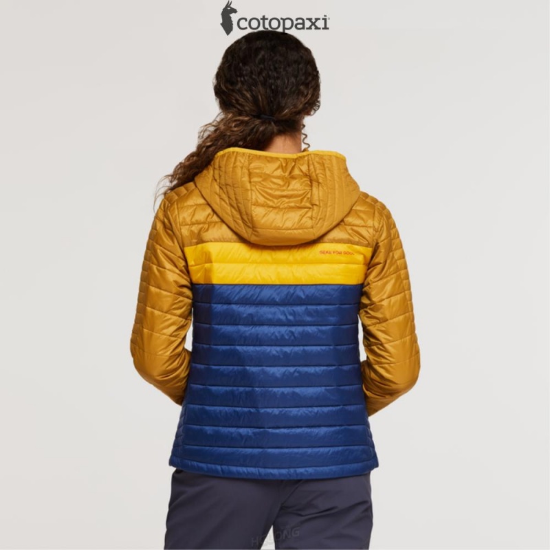 Cotopaxi Capa Insulated Hooded Jacket Amber/Maritime | GA53-O1-AB