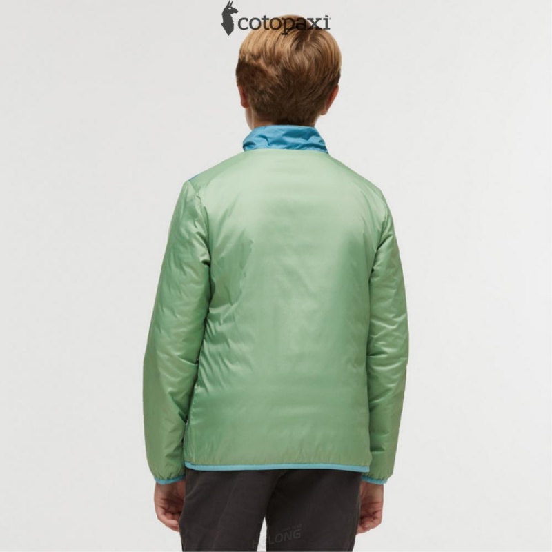 Cotopaxi Capa Insulated Jacket Aspen/Bluebird | IK61-F7-MB