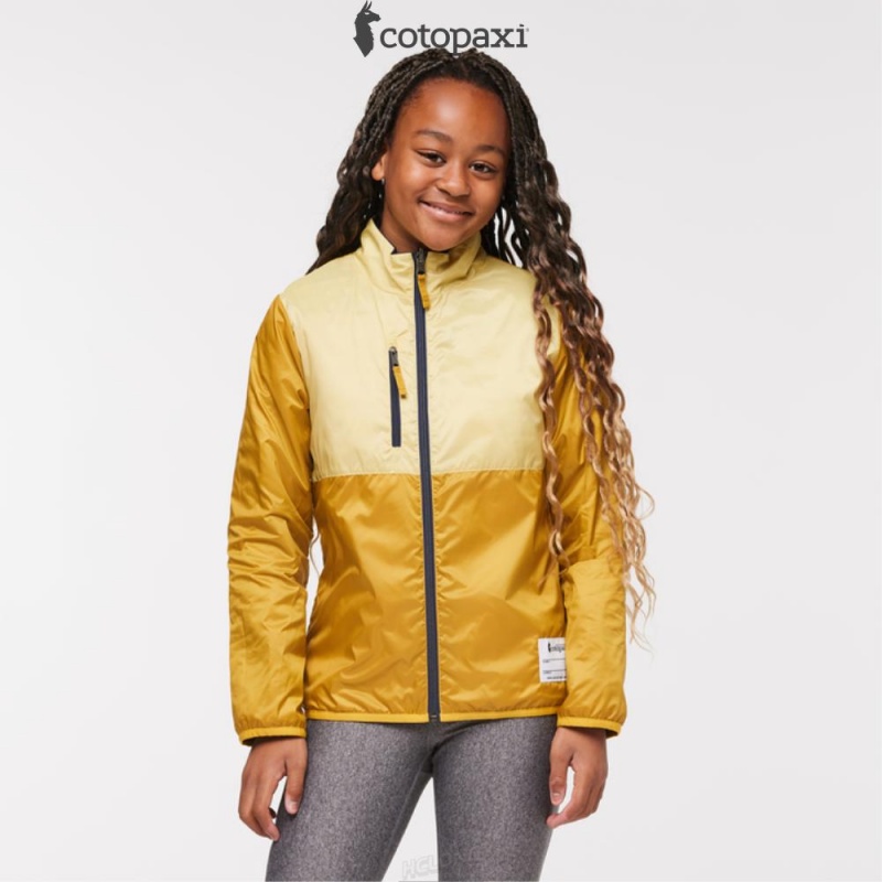 Cotopaxi Capa Insulated Jacket Maritime/Wheat | LV29-L7-YV