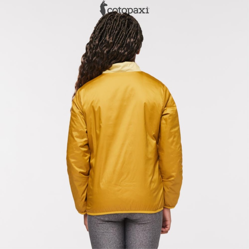 Cotopaxi Capa Insulated Jacket Maritime/Wheat | LV29-L7-YV