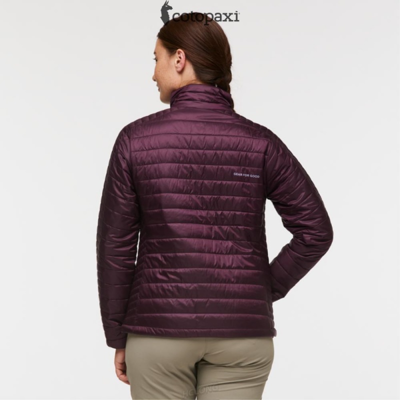 Cotopaxi Capa Insulated Jacket Wine | OY61-Y7-OW