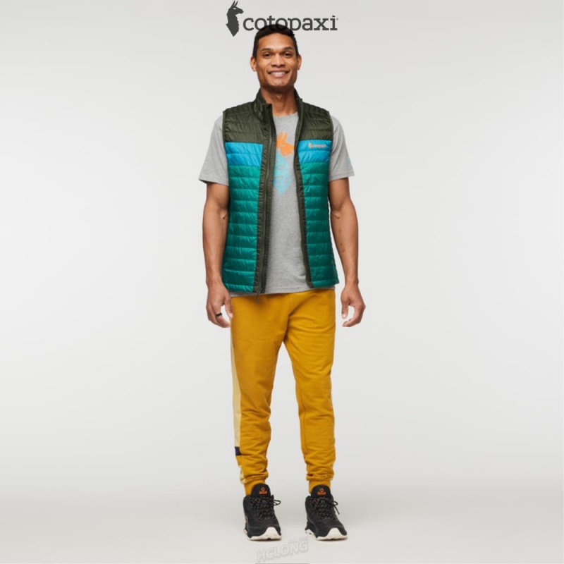 Cotopaxi Capa Insulated Vest Woods/Greenery | AN09-V8-YP