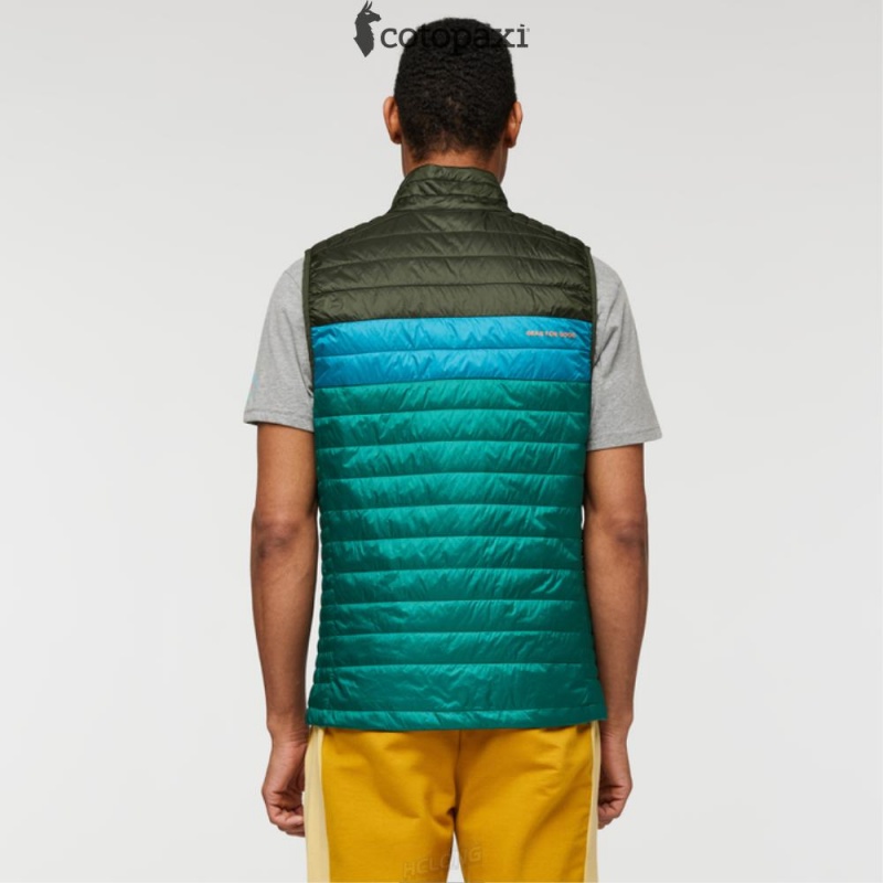 Cotopaxi Capa Insulated Vest Woods/Greenery | AN09-V8-YP