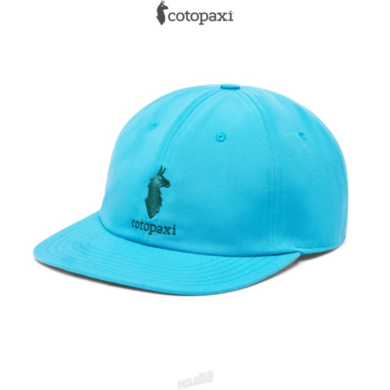 Cotopaxi Cotopaxi Dad Hat Poolside | WU54-P9-TO